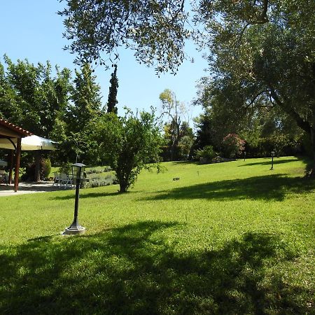 Konstantinos'S Luxury Residence Sani Sani  Exterior photo