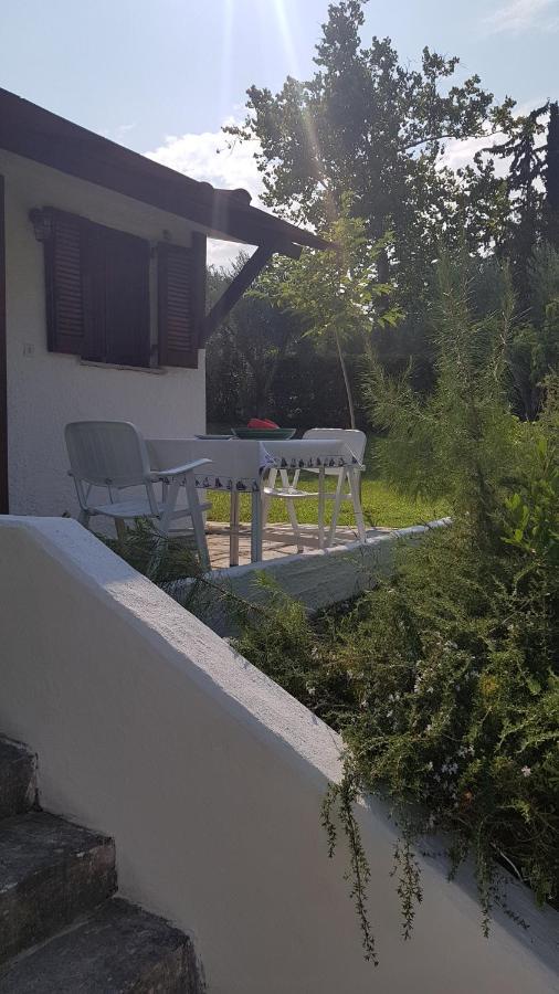 Konstantinos'S Luxury Residence Sani Sani  Exterior photo