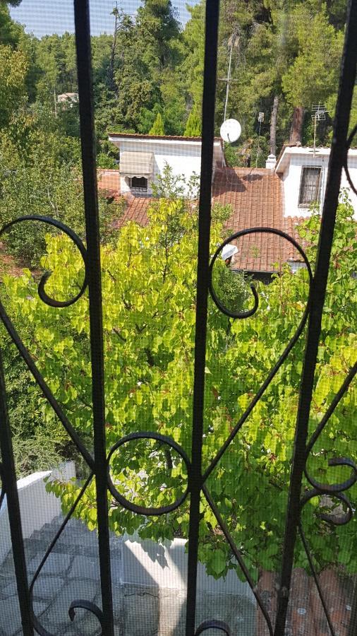 Konstantinos'S Luxury Residence Sani Sani  Exterior photo